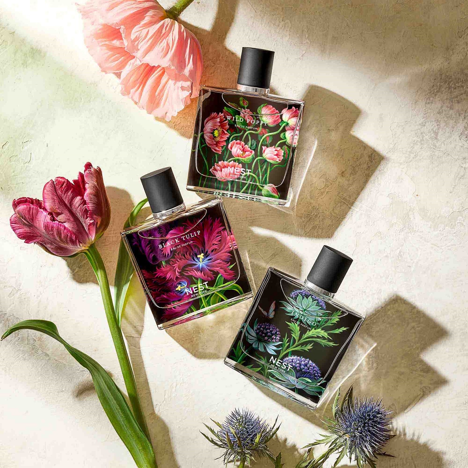BLACK TULIP 50ML